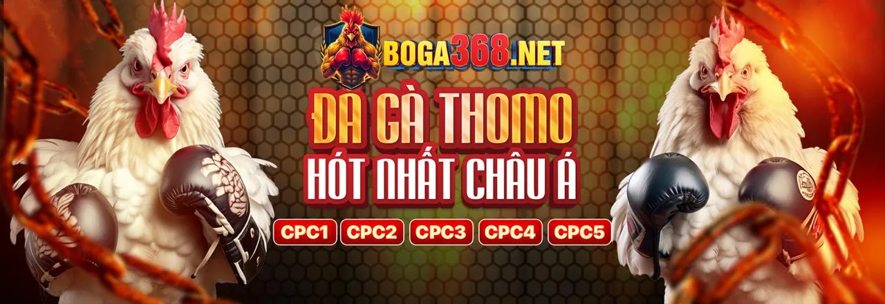 Màn hình hiển thị tỷ lệ cá cược trực tiếp bj3888